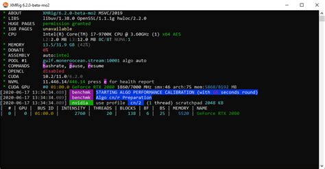 Meta Miner beginner guide for algo switching on moneroocean.stream .